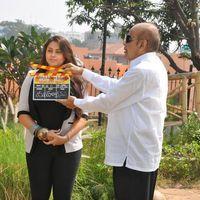 Namitha New Movie Opening - Pictures | Picture 122377